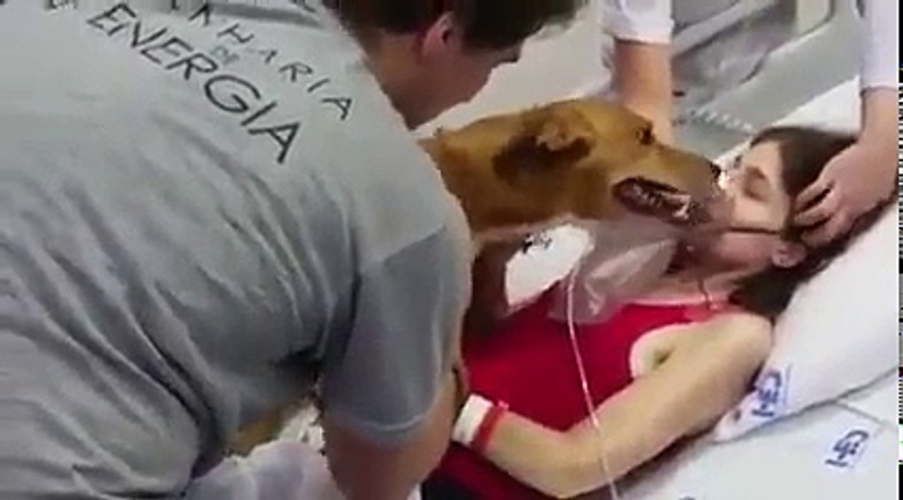reencontro entre uma doente terminal e seu amado cão