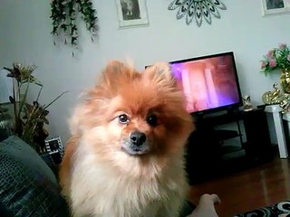 Woensdag gaat hij naar de kapper-B2-gLMfOqYs-HQ