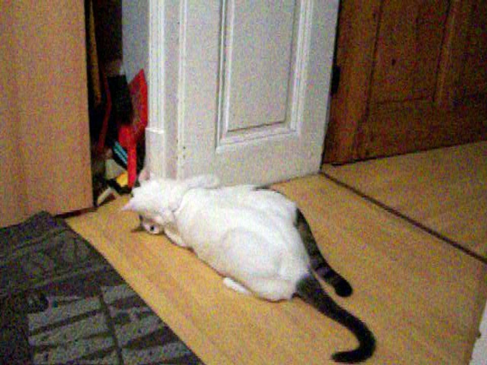 Harvey und Vinzent am 08.09.2016