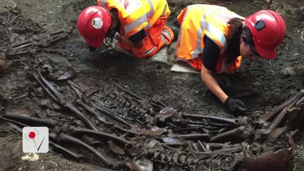 DNA Testing Confirms True Cause of London's Great Plague