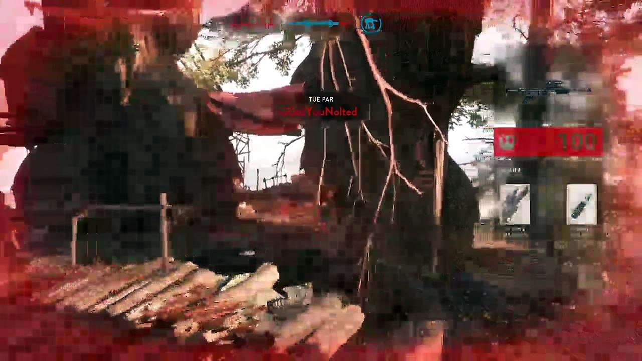 WTF