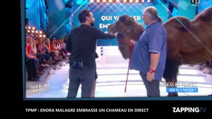 TPMP : Enora Malagré embrasse un chameau en direct (Vidéo)