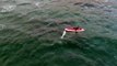 ‘Playful’ killer whale filmed swimming near New Zealand kayaker