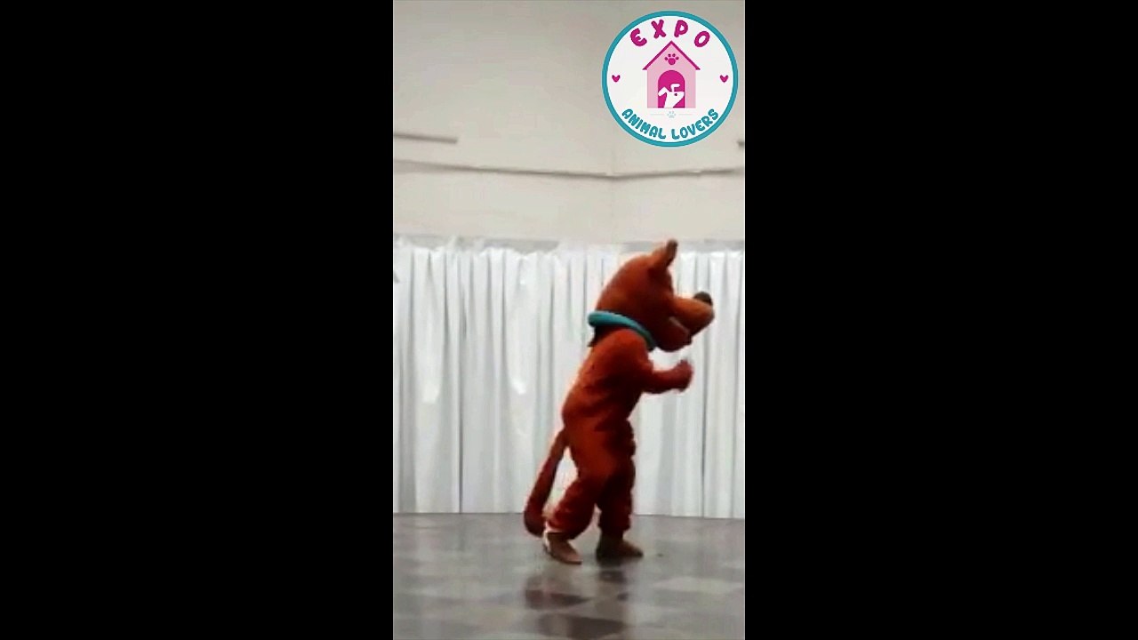 Expo Animal Lovers