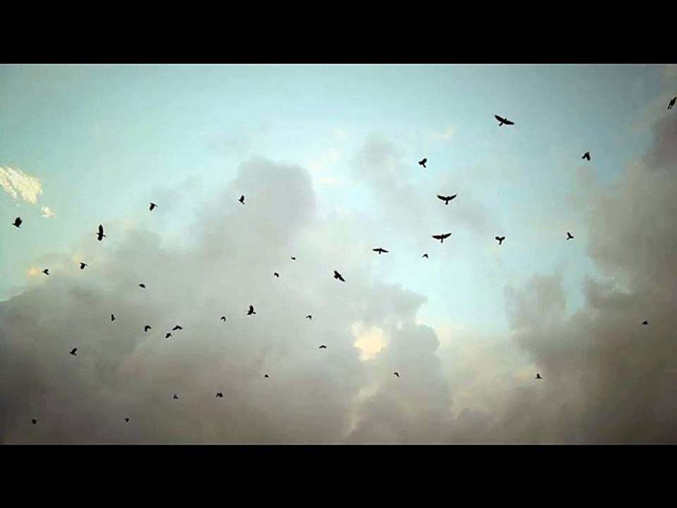 Dj Observer ft. Irisa- Sunrise Reloaded (Original Sunrise Mix)