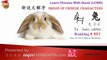 Origin of Chinese Characters - Radical 201 兔 hare, rabbit - Learn Chinese with Flash Cards