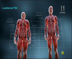 Apocalipse Neandertal, Canal História