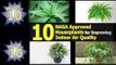 NASA Verified Houseplants For Improving Indoor Air Quality 2016