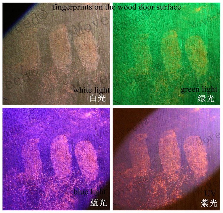 MOVEED® Forensic Alternate Light Source Practical Application(supplier)