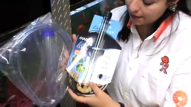 Cuidados de las mascotas- Tip +KOTA ¿Cómo limpiar tu pecera