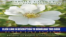 New Book Sacred Plant Initiations: Communicating with Plants for Healing and Higher Consciousness