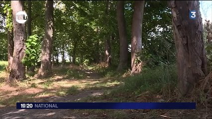 Au fil de l’eau, la Seine, un fleuve qui enchante