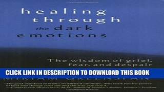 [PDF] Healing Through the Dark Emotions: The Wisdom of Grief, Fear, and Despair Full Online