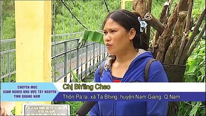 Giảm nghèo Tây nguyên Quảng Nam số 6