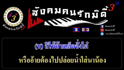 ปล่อยน้ำใส่นาน้อง : เพชร สหรัตน์ Feat.แพรวพราว แสงทอง 【MIDI KARAOKE】