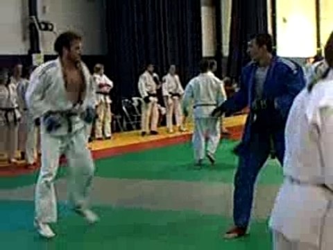 ju-jitsu fighting