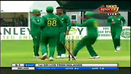 Muhammad Amir Clean Bowled Stirling In 1st ODI Vs Ireland 2016