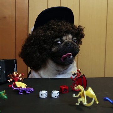 Stranger Pugs - Parodie de Stranger Things avec un chien Carlin