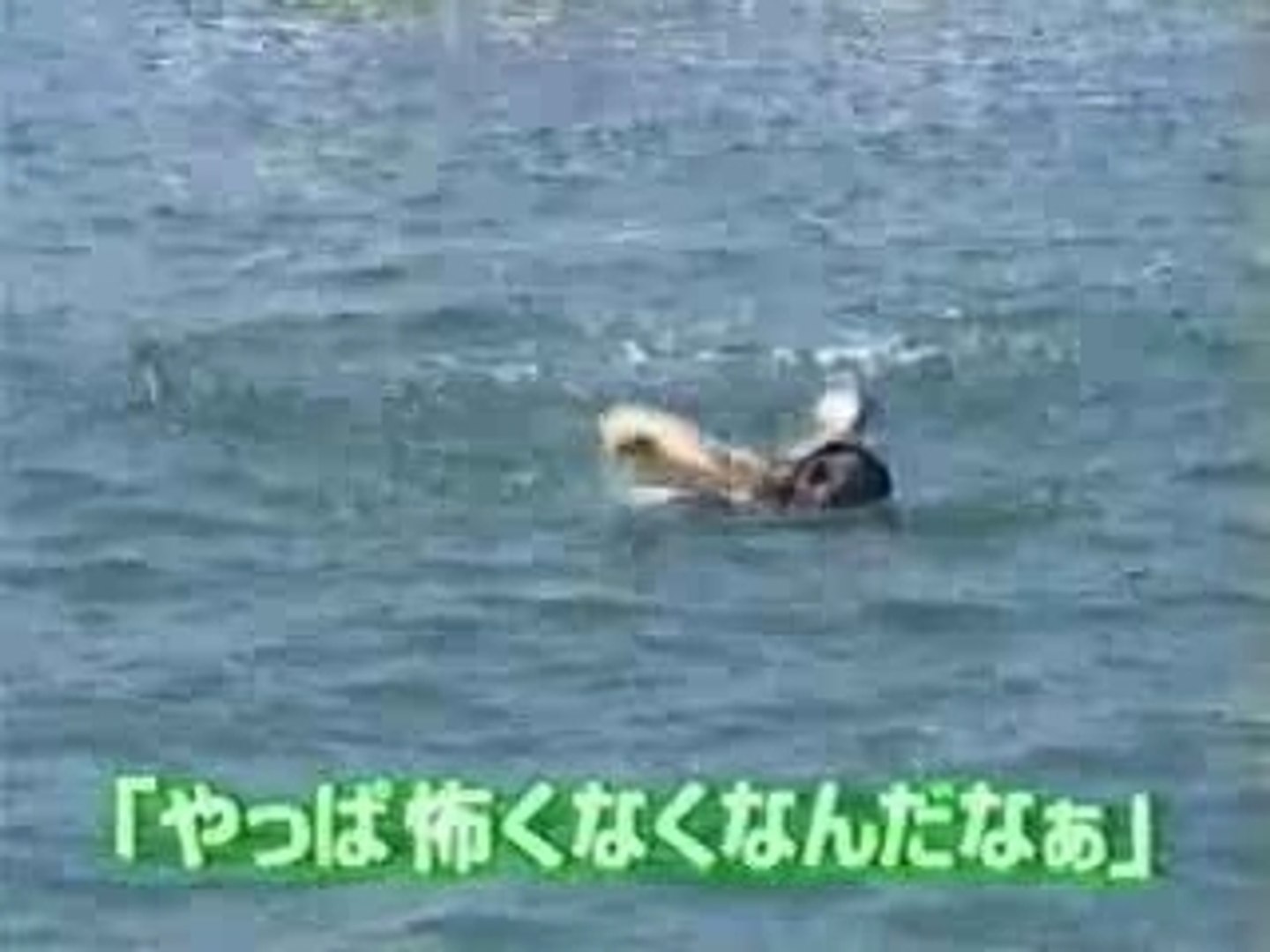 ウリナリ ドーバー海峡横断部 沖縄合宿 Video Dailymotion