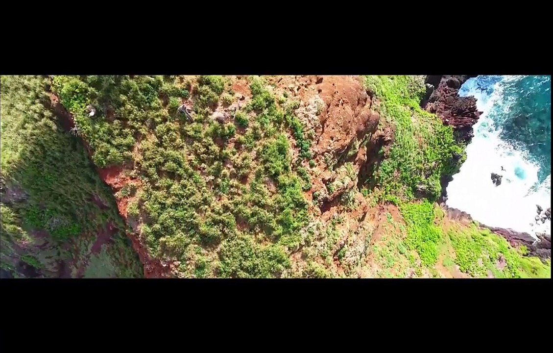 Audiotwinkz - Back Onec again ( officially video )