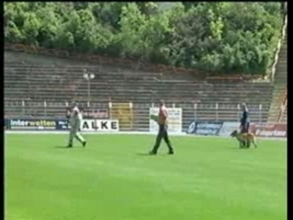 Devil vom Greifenring - Belgier WM 2005-SCHUTZ