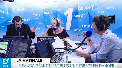 Si l’humanité tout entière se regardait dans le même miroir, au même moment, son reflet serait un panda