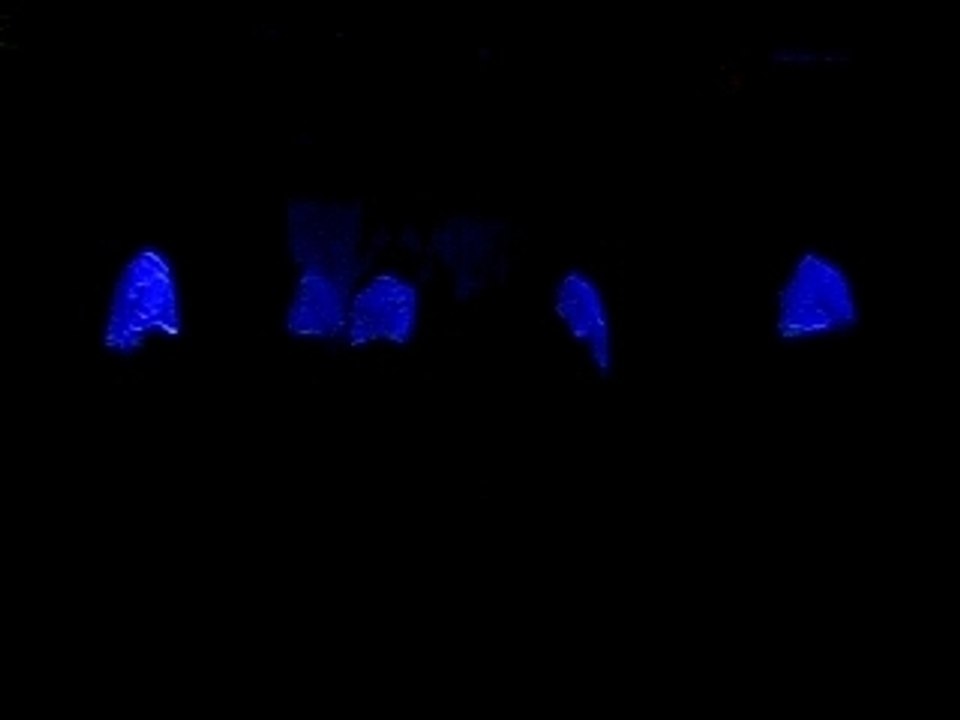 Danse celtique 2