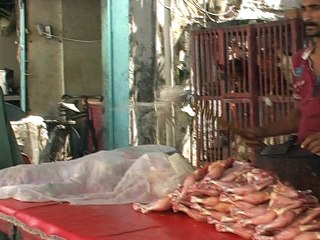 mannanashraf7111AS LIVE FILE