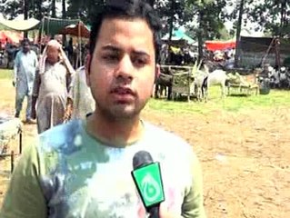 Price Hike In Cattle Market