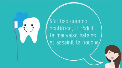 5 aliments pour avoir les dents banches