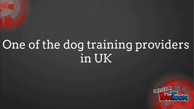 One of the dog training providers in UK