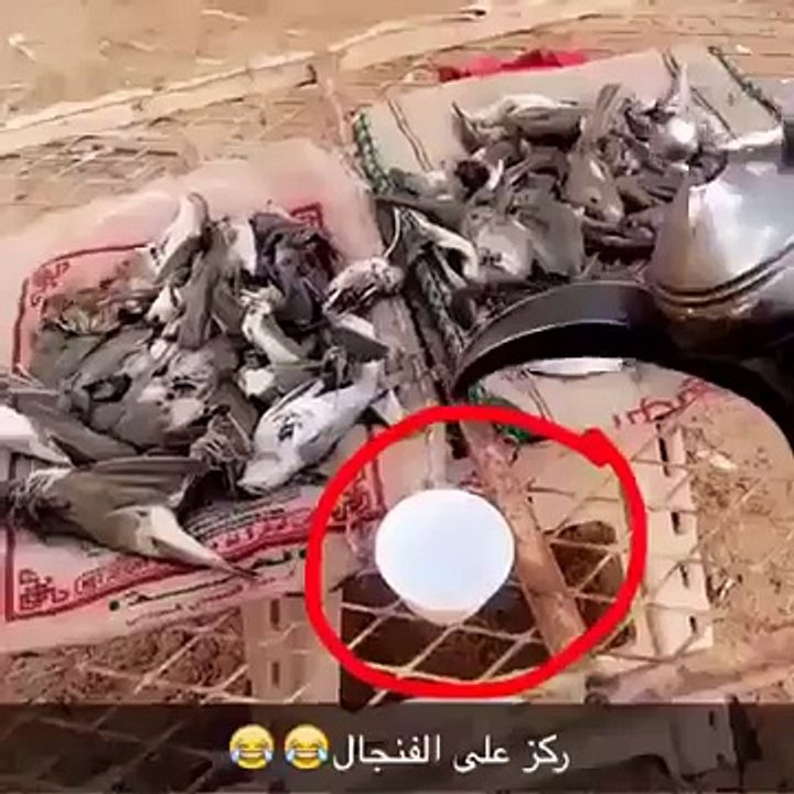 ركز على الفنجال