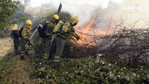 Se multiplican los incendios en España en plena ola de calor