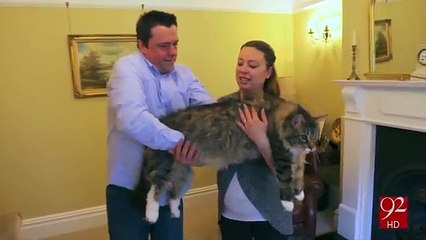 watch some Guinness World Records 2017