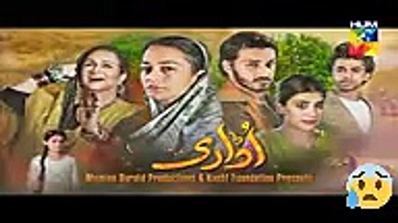 udari episode 22 full episode-drama on hum tv