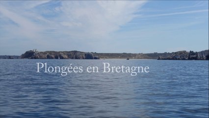 Plongées Bretagne été 2016