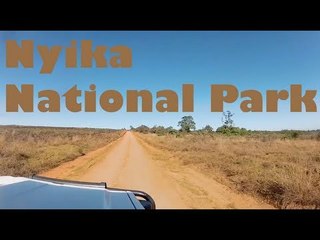 Nyika National Park - Malawi, Africa