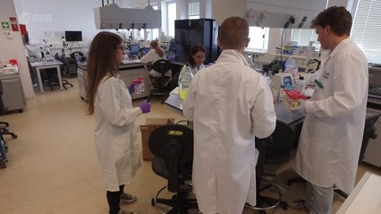 Spin Your Thesis! 2016 - PlanOx team