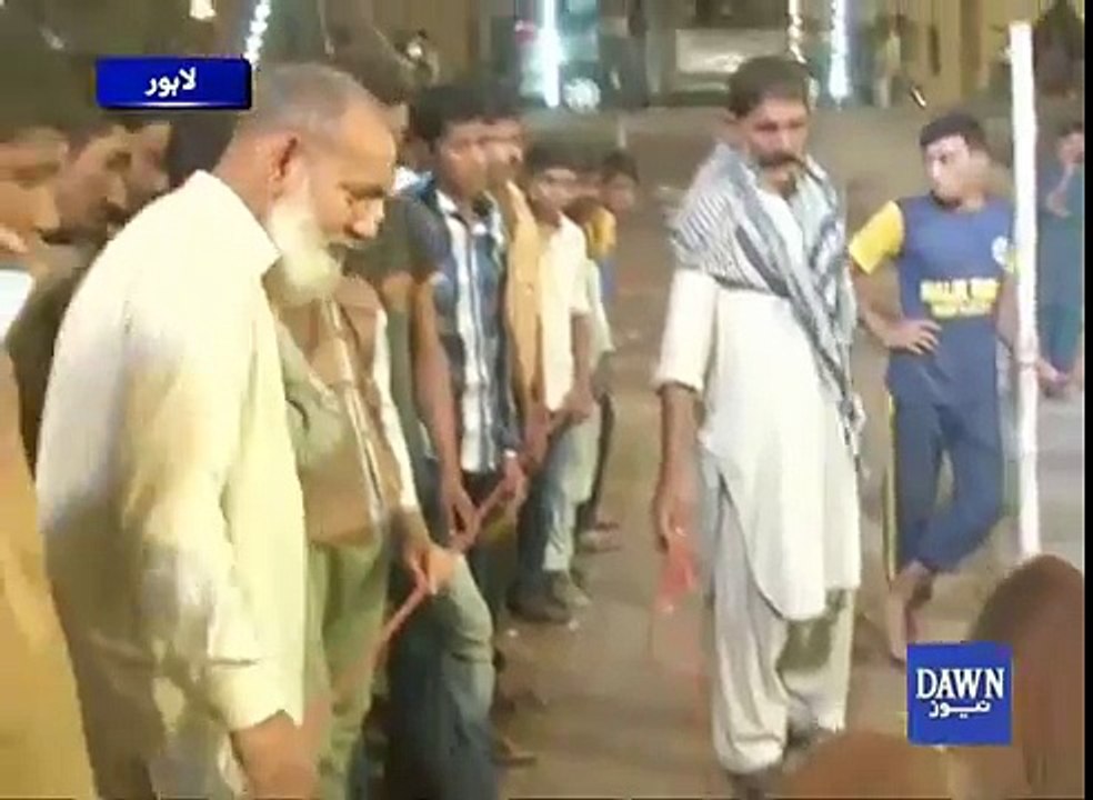 Obedient animals in Lahore cattle market