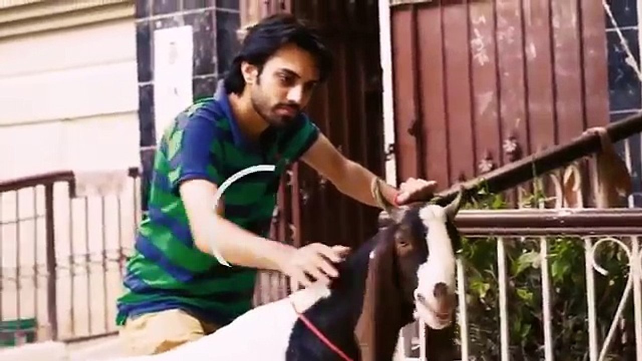 Story Of Bakra Eid Animals Social Media Edition - Bakra Eid 2016 | 3 Idiotz Pakistan