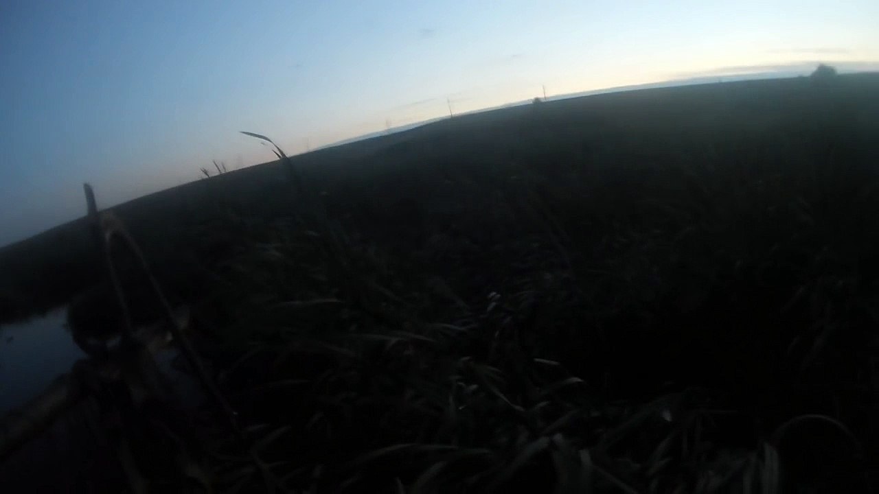 Ce chasseur réussit le tir parfait