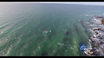 Il saute de son kayak pour se baigner avec une orque