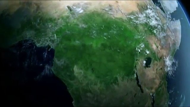 Vea cómo este búfalo levantó en sus cuernos a un león