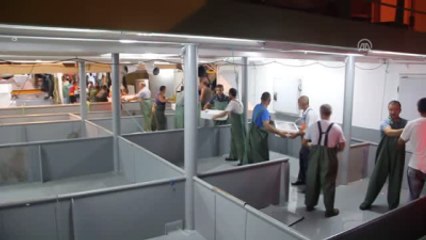 Karadeniz'de Palamut Bereketi