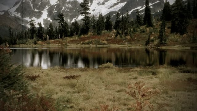 Duet Milosevic - Aleksic - Ala mi se ogrozdila venja