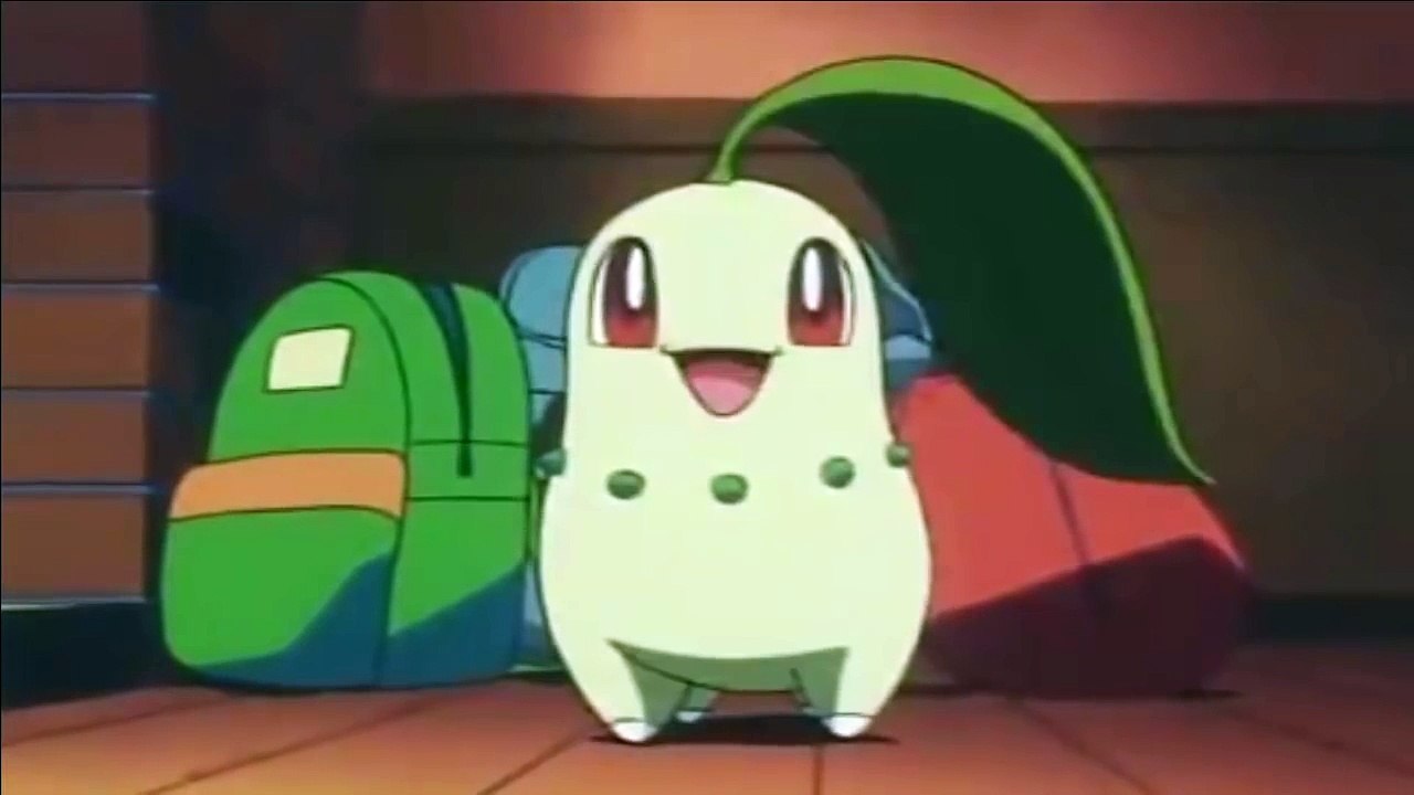CHIKORITA THUG LIFE - POKEMON VINE
