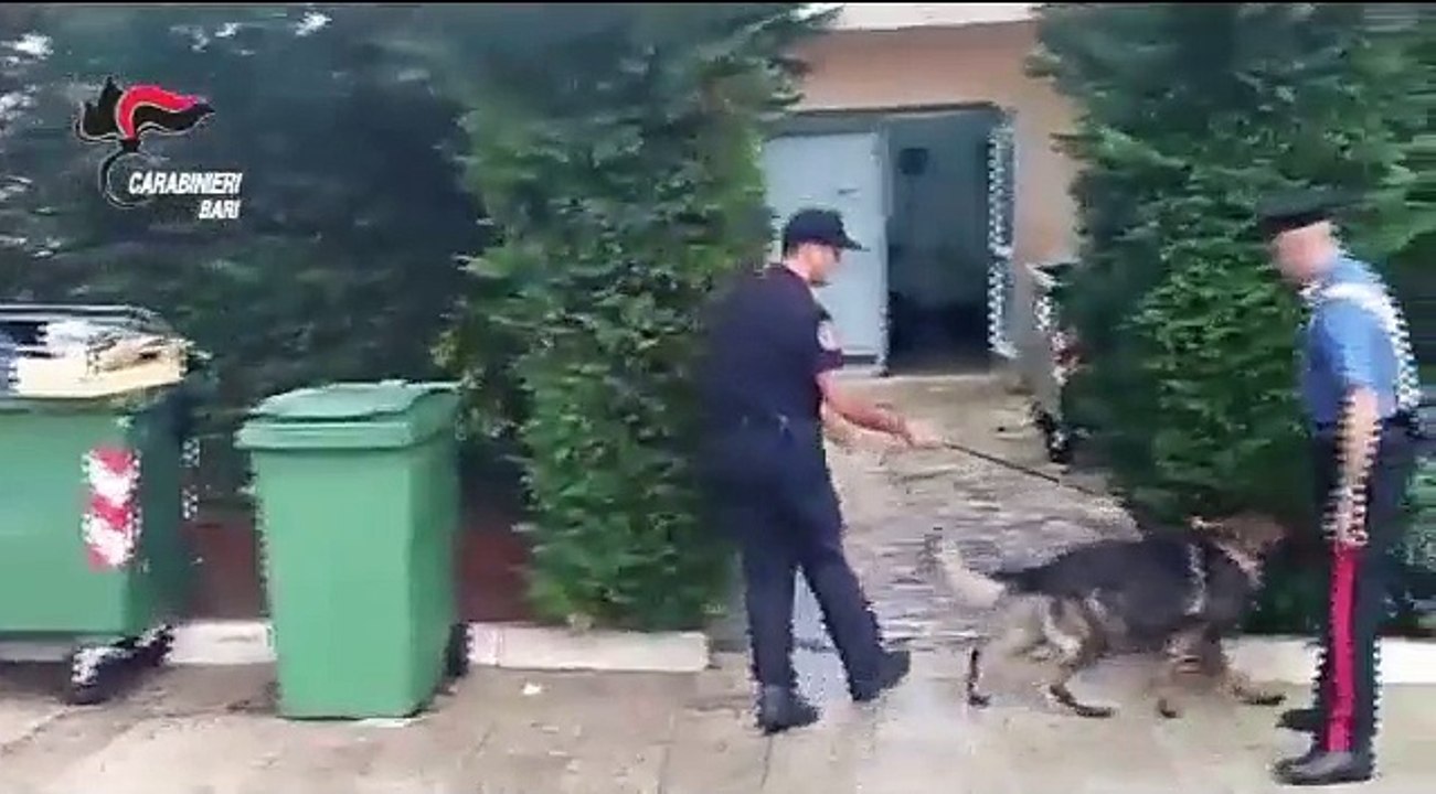 Narcotraffico a Minervino: Carabinieri scoprono 23 kg di hashish e 38.000 euro in contanti