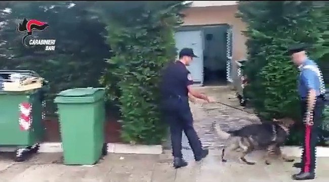 Narcotraffico a Minervino: Carabinieri scoprono 23 kg di hashish e 38.000 euro in contanti