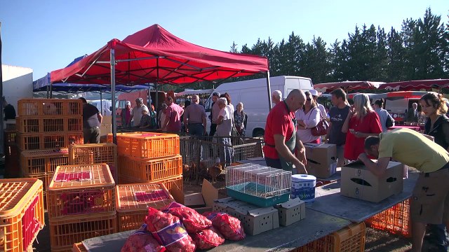 Hautes-Alpes : À 788 ans, la foire aux dindes de Lagrand reste toujours un incontournable de la vallée du Buëch.