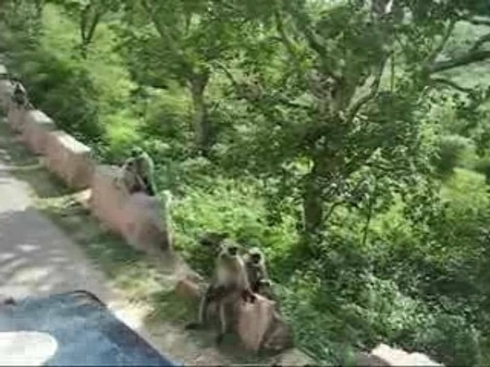 Début Inde